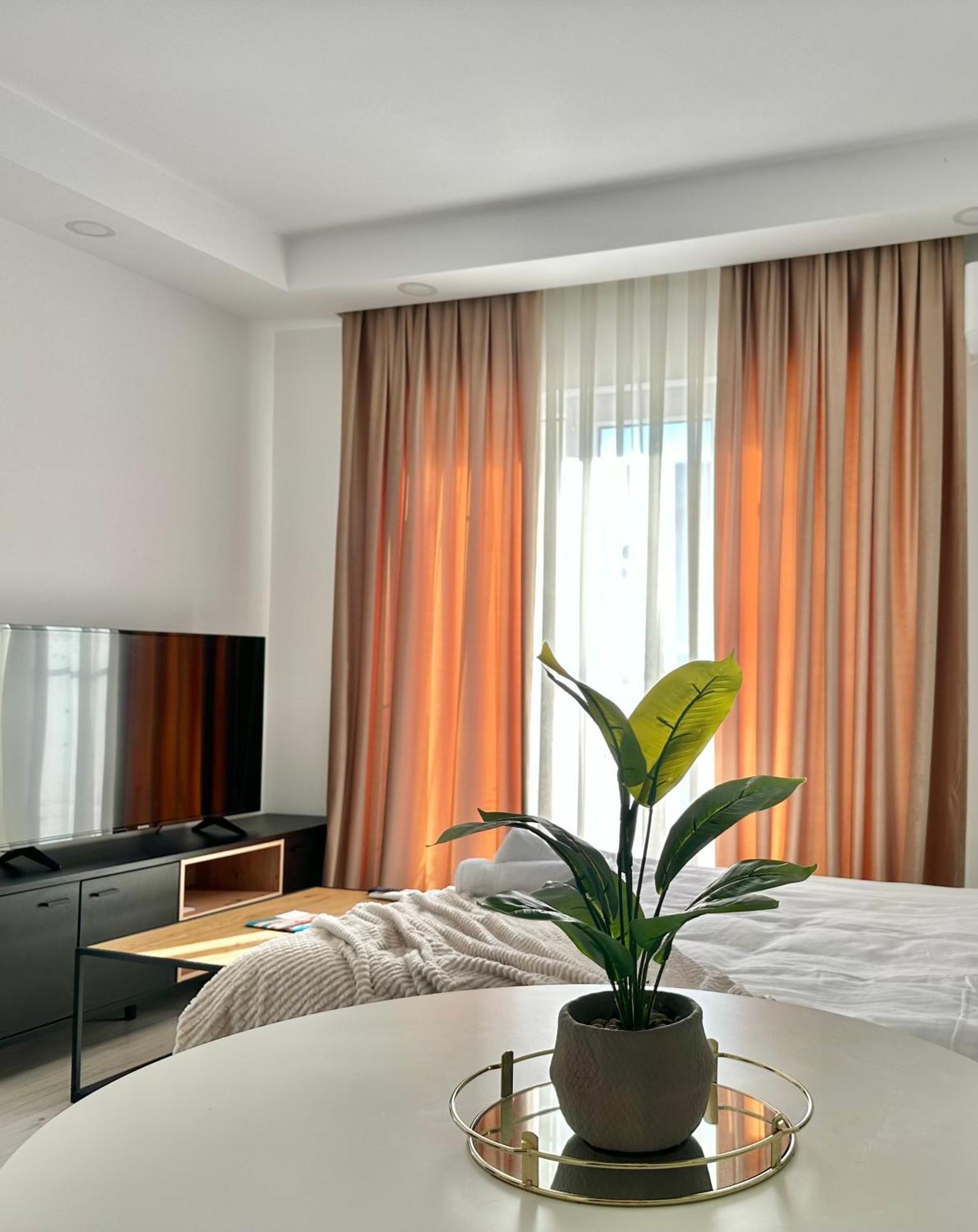 Single Room A503 Stayinn By Cosmopolis Stefanestii de Jos المظهر الخارجي الصورة